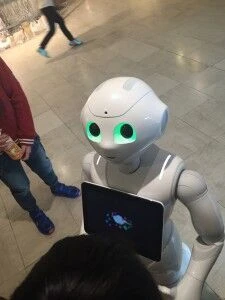 ｑ