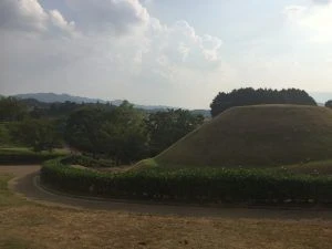 IMG_3411